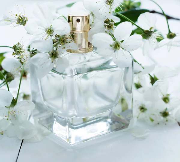 Frascos Perfume Diferentes Fundo Branco — Fotografia de Stock