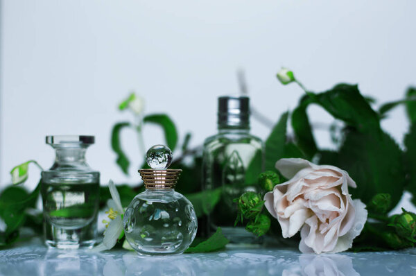 различные духи бутылки с зелеными цветами
 