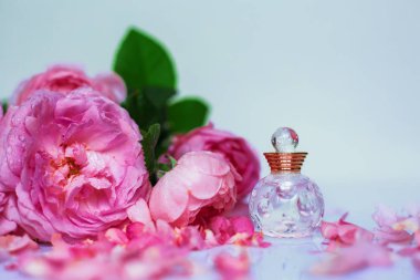 Pembe çiçek gül içinde parfüm şişesi. Bahar arka plan ile lüks koku parfüm içerir. Güzellik kozmetik taze aromatik