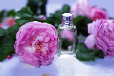 parfüm şişesi pembe güllü
