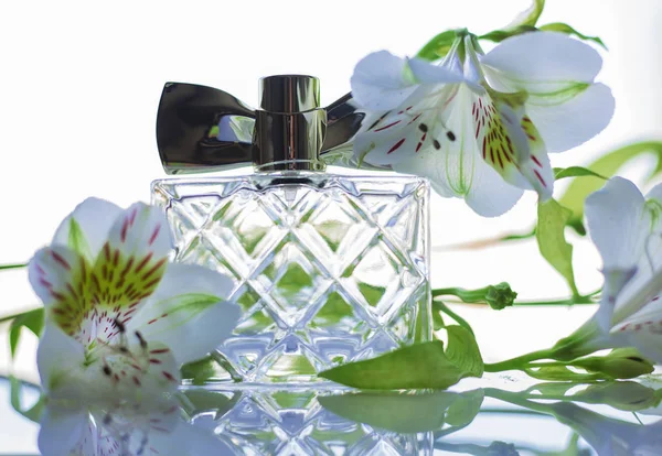 Perfume Bottle White Flowers Light Background — Stock Photo, Image