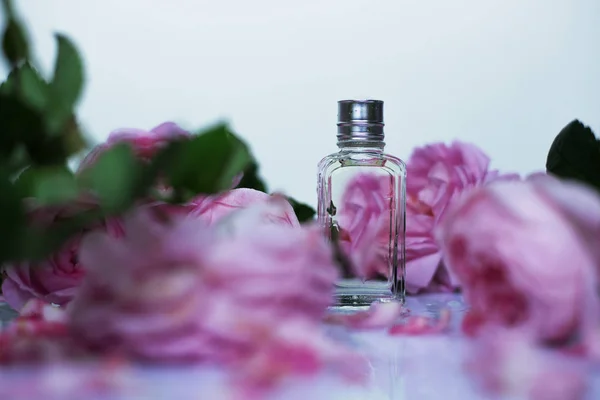 Frasco Perfume Com Rosas Rosa — Fotografia de Stock