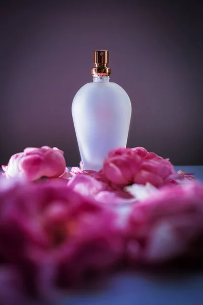 Flakon Perfum Róże Różowy Kwiat Tło Wiosna Cząsteczki Zapach Luksusu — Zdjęcie stockowe
