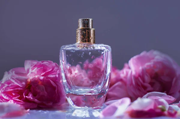 Perfumery, cosmetics, fragrance collection — Stock Photo, Image