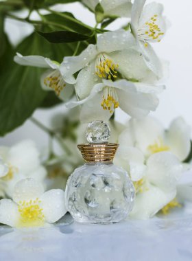 küçük parfüm ve Yasemin çiçekleri
