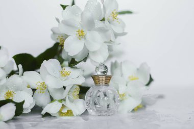 küçük parfüm ve Yasemin çiçekleri