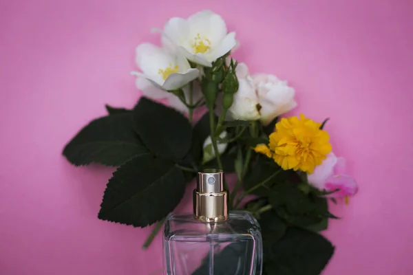 Perfume Flores Sobre Fundo Rosa — Fotografia de Stock