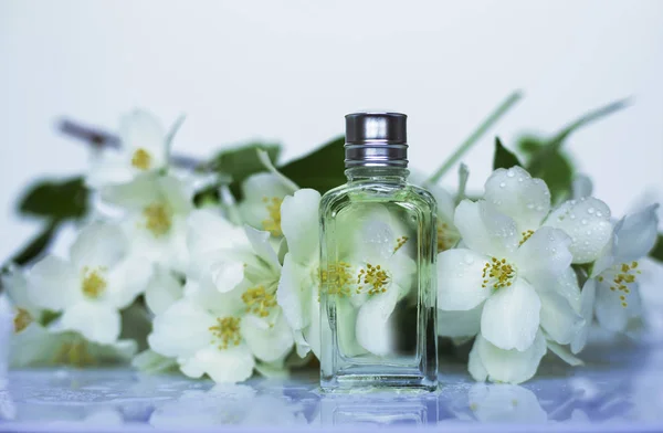Perfume Jasmine Flowers — Stock Photo, Image