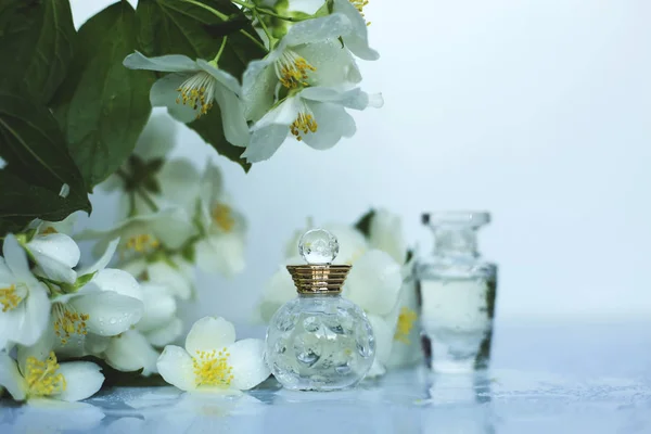 Parfüm Und Jasminblüten — Stockfoto