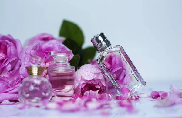 Három Üveg Parfüm Virágok Fehér Háttér — Stock Fotó
