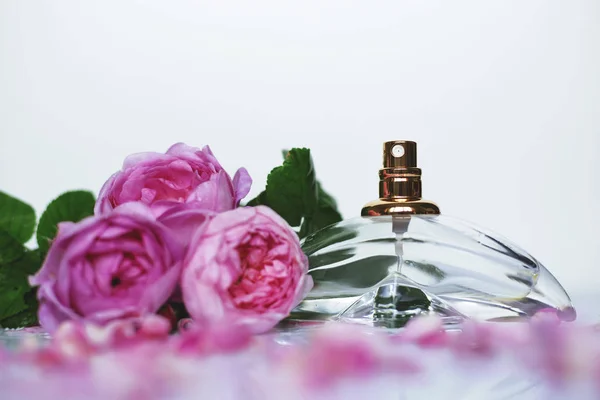 Perfume Feminino Com Flores Rosa — Fotografia de Stock