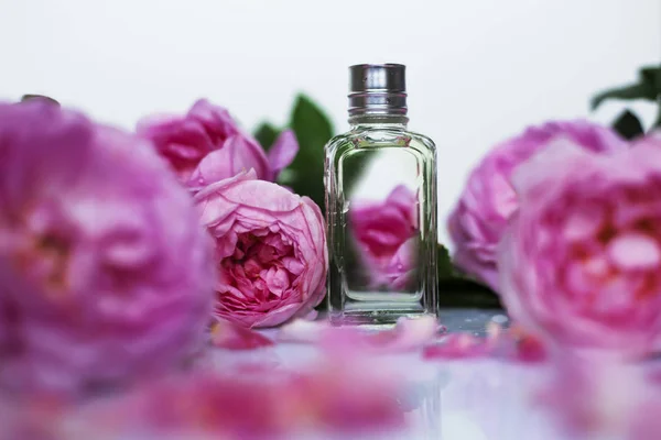 有粉红色花朵的女性香水 — 图库照片