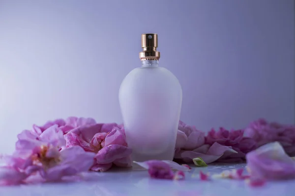 Botella Perfume Con Flores Sobre Fondo Azul — Foto de Stock