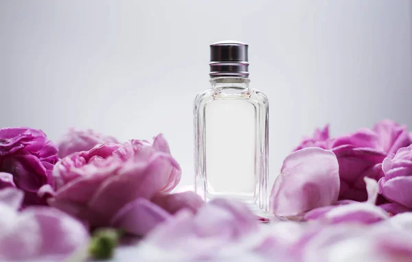 Perfume Feminino Com Flores Rosa — Fotografia de Stock