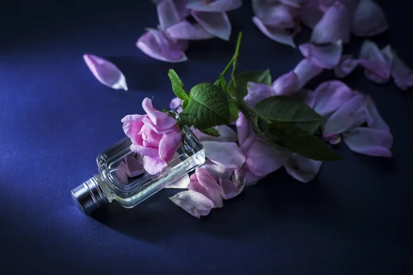 蓝色背景粉红色花朵的女性香水 — 图库照片