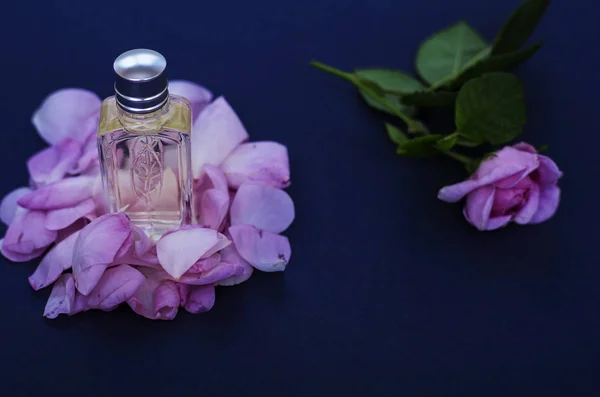 带粉红色花瓣的小瓶香水 — 图库照片