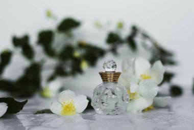 küçük beyaz bahar çiçekleri ile parfüm şişe
