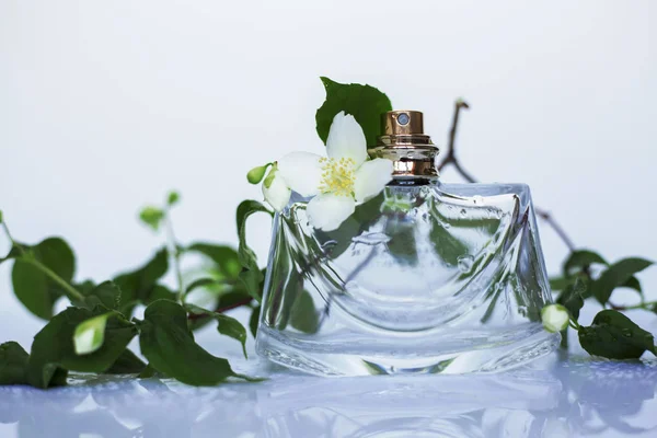 Frasco Perfume Com Flores Fundo Cinza — Fotografia de Stock