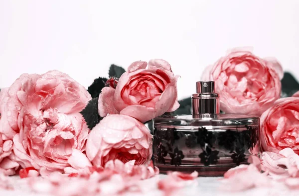 Frasco Perfume Rosas Flores Rosadas — Foto de Stock