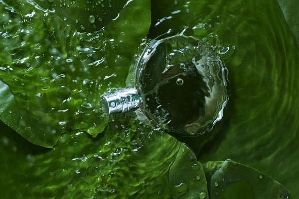 bir arka plan yeşil yaprakların üzerine ıslak parfüm