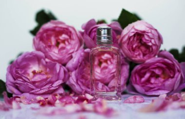 Beyaz arka plan üzerinde parfüm ve pembe yaprakları