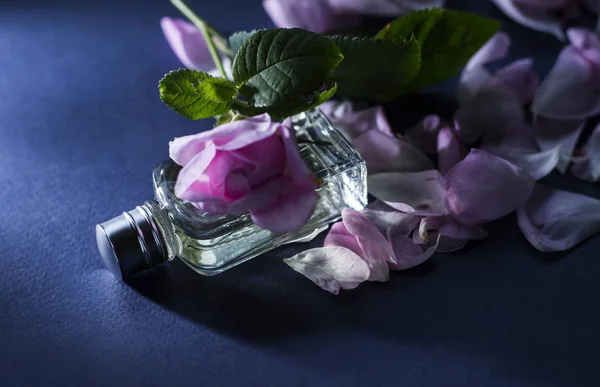 青の背景に香水とピンクの花びら — ストック写真