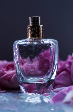 Lüks aroma ıslak parfüm