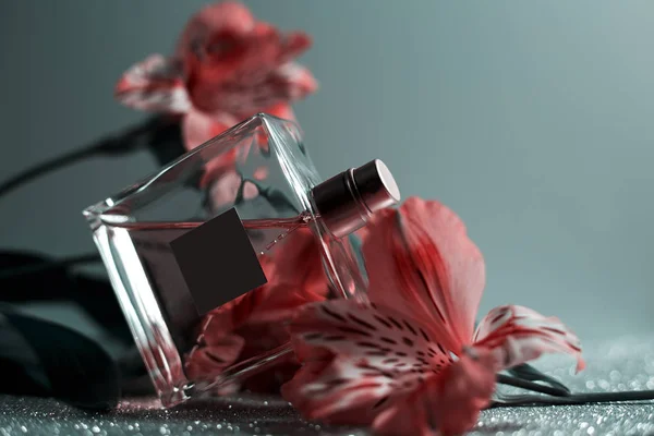 Dámské Parfémy Růžové Orchideje — Stock fotografie