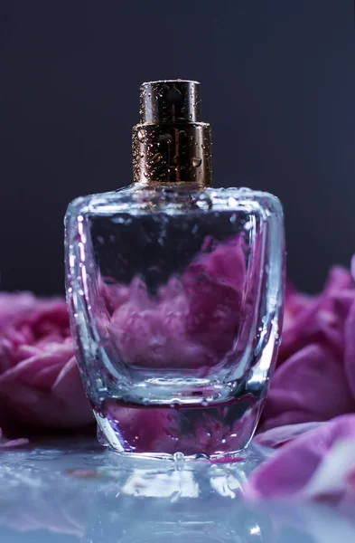 Luxury Aroma Wet Perfume — Stock Photo, Image