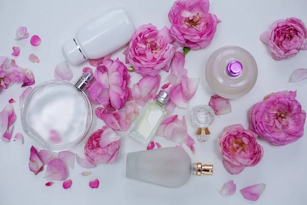 Veel Verschillende Parfums Met Roze Bloemen Een Witte Achtergrond — Stockfoto