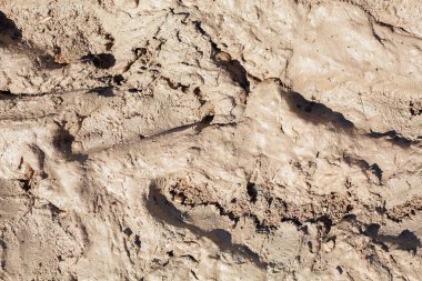 arka plan doku ıslak kum ve kil