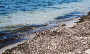 Tayland Beach Asya egzotik cennet