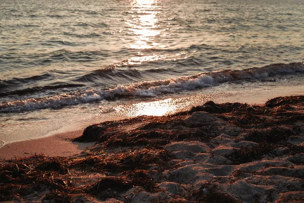 Waves Sunset Sea Summer Time — Stock Photo, Image