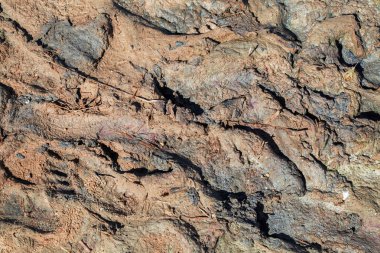 arka plan doku ıslak kum ve kil