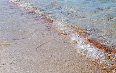 Güneşli gökyüzü ile tropik plajdan deniz manzarası