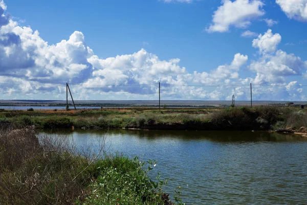 Summer Landscape Lake — Stock Photo, Image