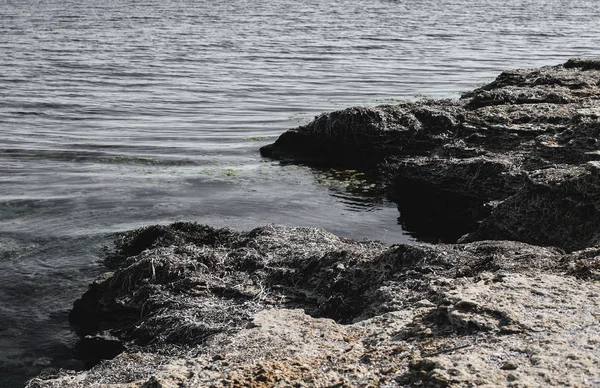 Güzel yaz doğa manzarası