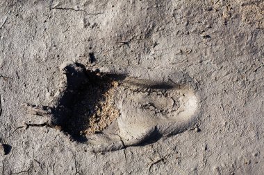 arka plan için gri çamur toprakta insan ayak izi