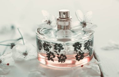 Parfümeri, kozmetik, parfüm koleksiyonu