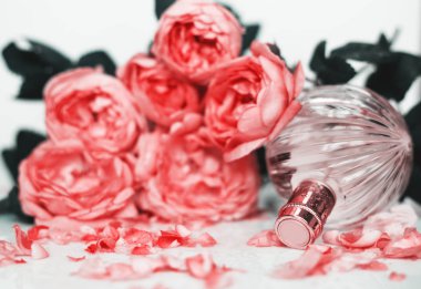 Pembe çiçek gül içinde parfüm şişesi. Bahar arka plan ile lüks koku parfüm içerir. Güzellik kozmetik taze aromatik