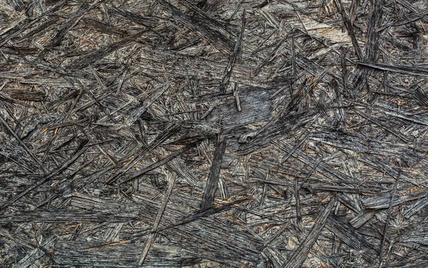 texture of the pressed wood. Background of pressed wood shavings.
