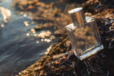 deniz sahilde parfüm