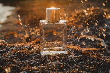 deniz sahilde parfüm