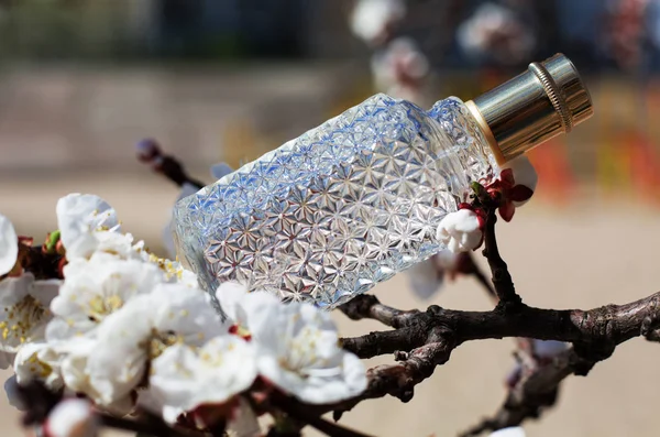 Perfume Mano Para Mujer Arreglo Floral — Foto de Stock