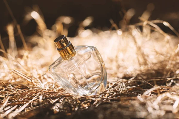 Parfum Féminin Coucher Soleil — Photo