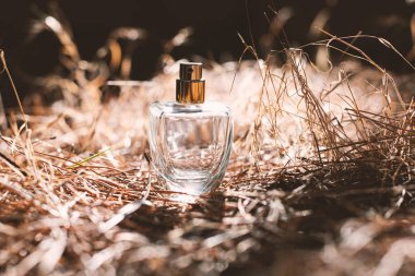 gün batımında kadın parfüm