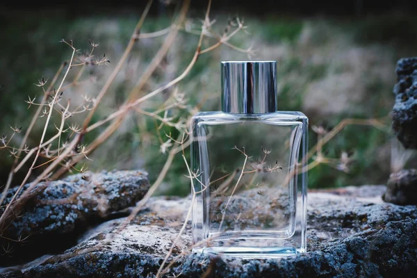 Parfum Masculin Nature — Photo