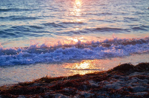 Природный Летний Пляж Фоне Заката Копировальным Местом — стоковое фото
