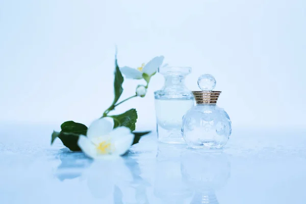 Small Perfumes Delicate Flower White Background — Stock Photo, Image