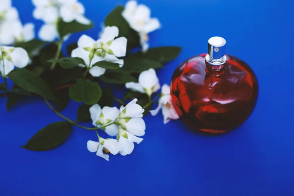bottle of perfume with flowers on blue background. perfume with spray of flower petals top view